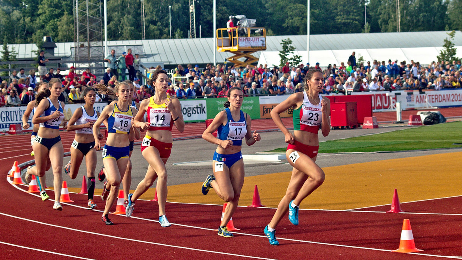 Löpare i damernas avslutande 800 meter under en sjukamp i friidrott